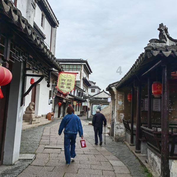 逃出蜜蜂岛