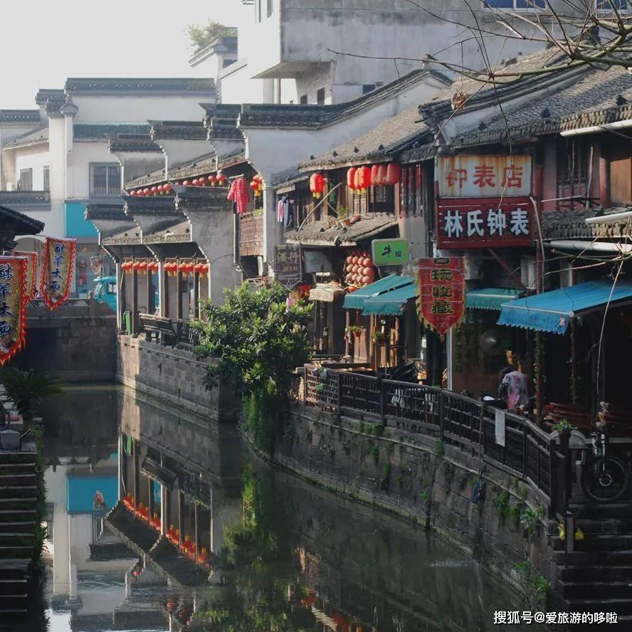 津彩南望 乐享文旅 津南区葛沽清水萝卜节启动 扫码阅读手机版